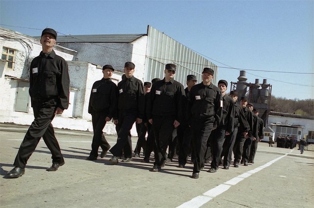    Осужденных по каким статьям не мобилизуют?