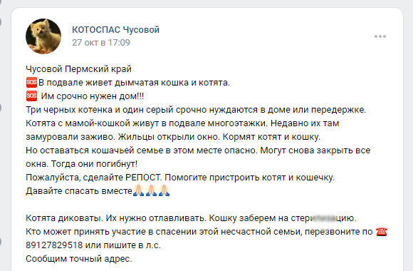 Это объявление и подобные, с просьбой помочь в отлове, мы писали регулярно.