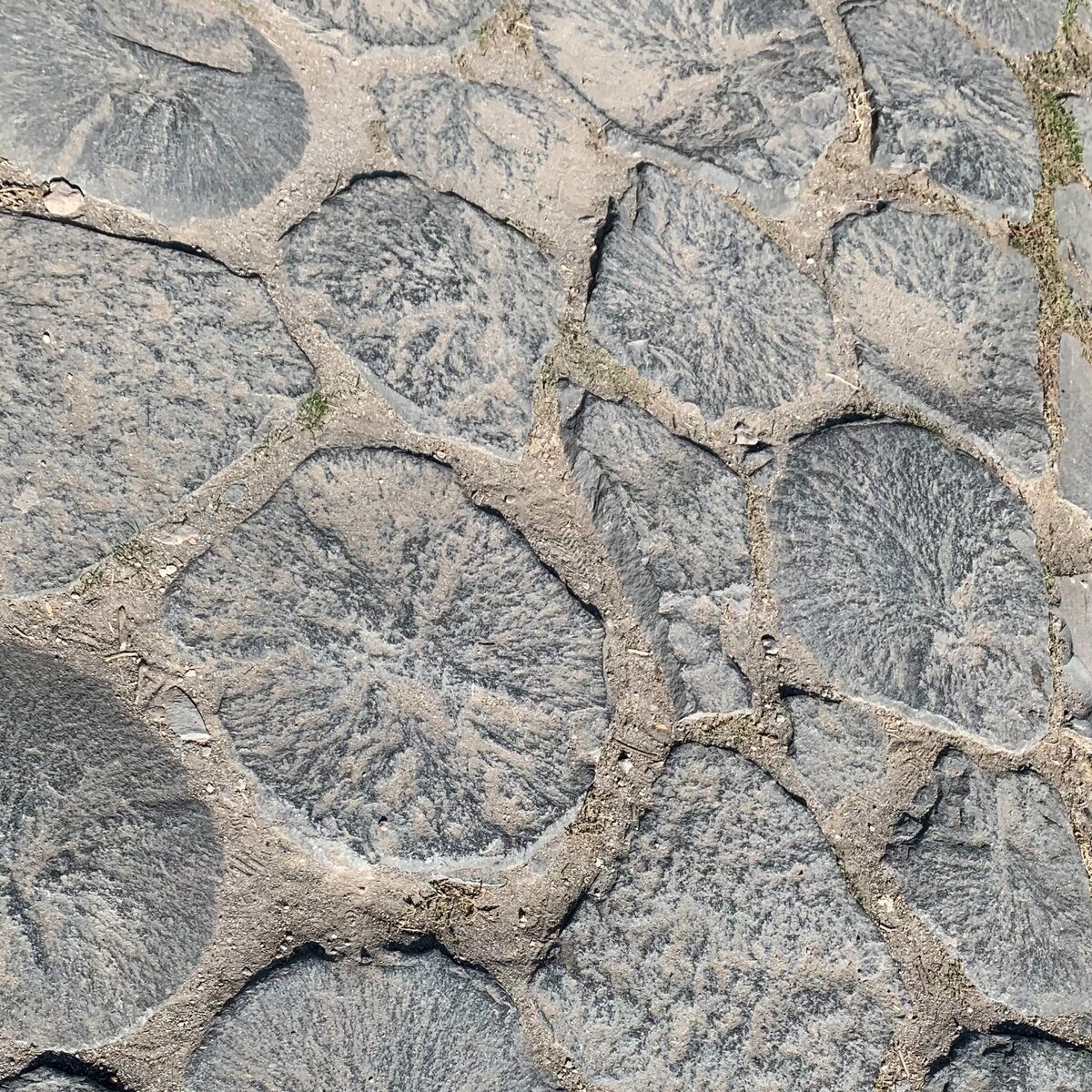 А это природная версия, не очень ровная, зато какая красивая! (Гарни)