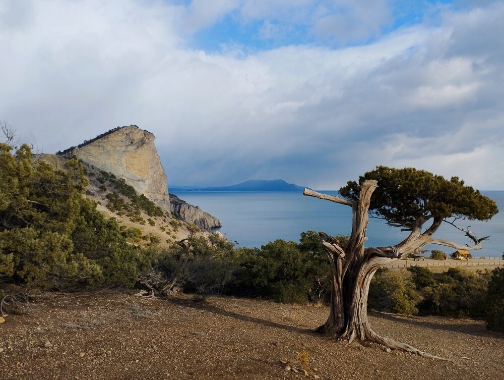 Новый свет Крым часовня Луки Крымского