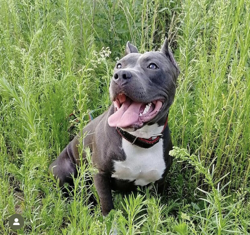 Герда. Фото из моих соцсетей.