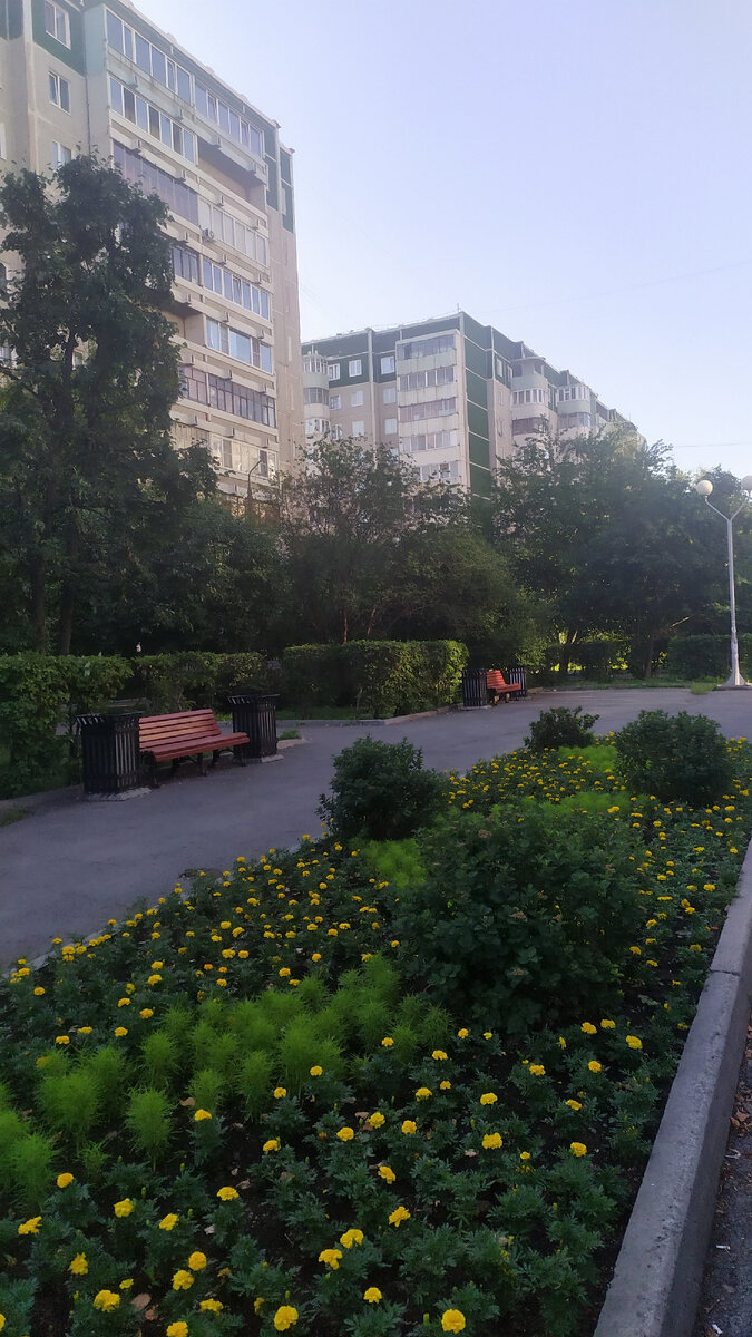 Утро последнего рабочего дня)