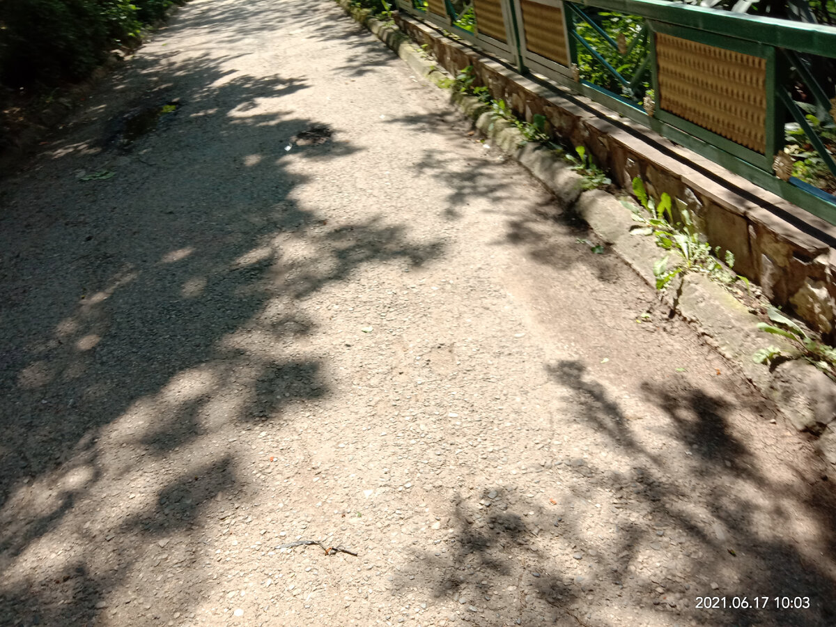 Когда же будет солнечной ее сторона улицы?       Фото автора канала 