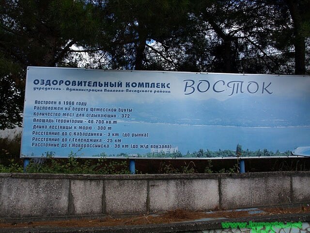 фото из альбома https://vk.com/album-51710193_177727253