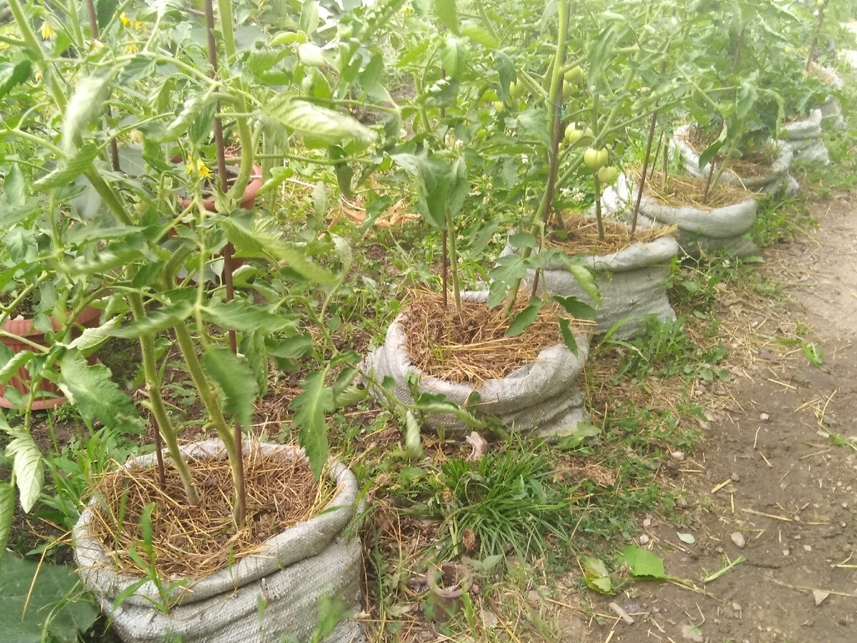 26 июня 2021 года