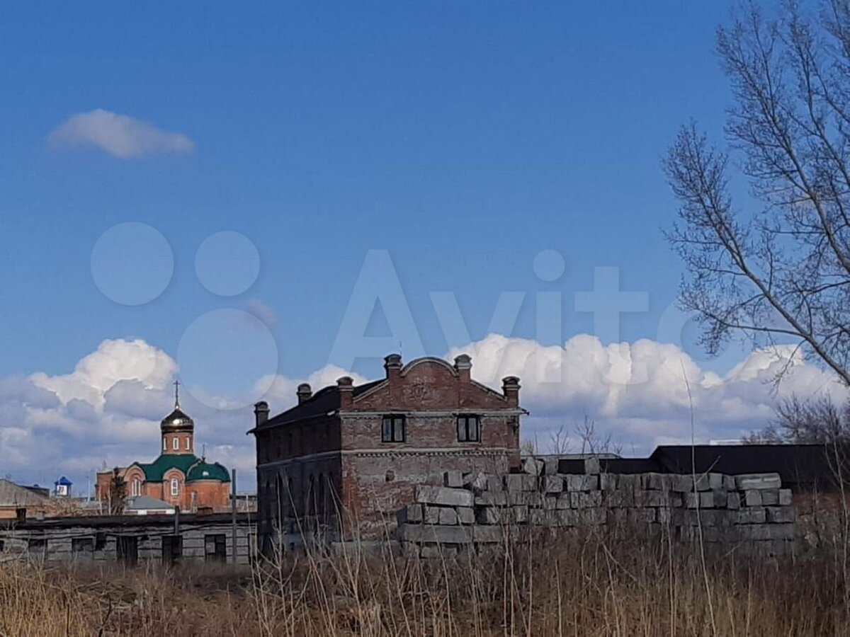 105-летний замок в Камне-на-Оби