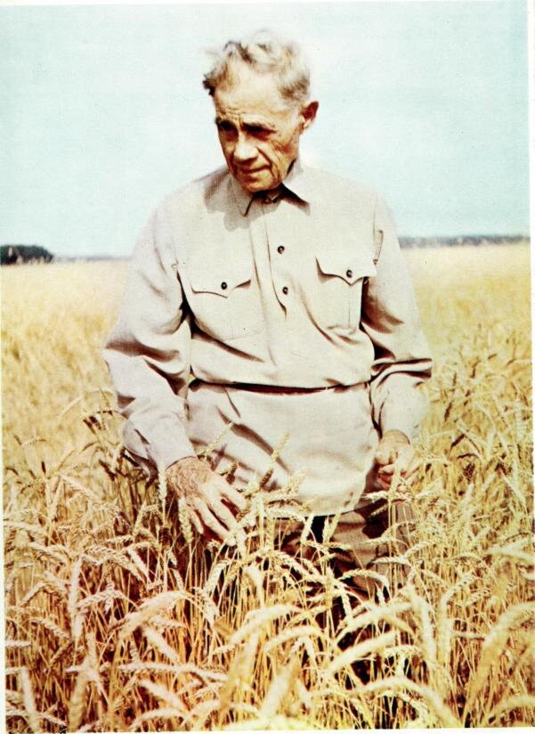 Наработки Т. С. Мальцева, сорта растений, выведенные им, успешно применяются по сей день.