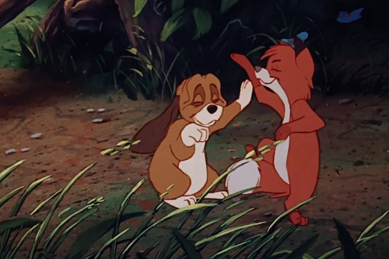 📌Все права на представленные в статье фотографии, принадлежит только их владельцам. Все фотографии взяты из открытых источников📌.