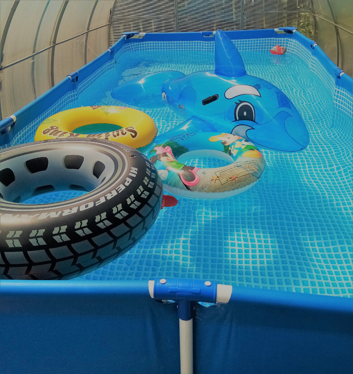 В прошлом году обновили надувные круги, в этом году ещё будем с ними купаться (Фото автора)