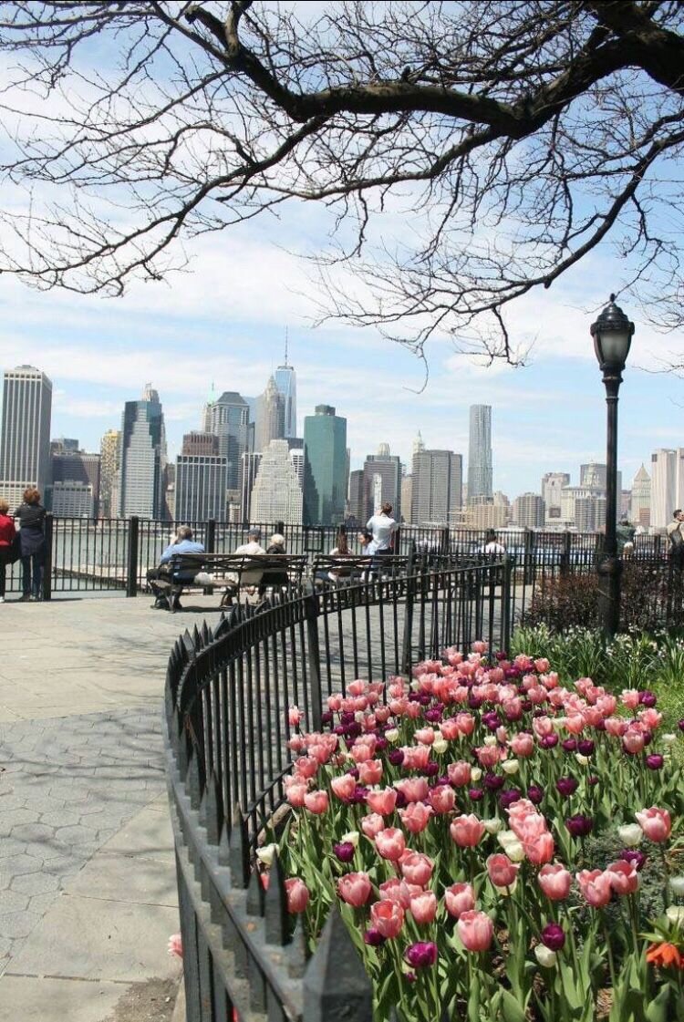 Яндекс картинки