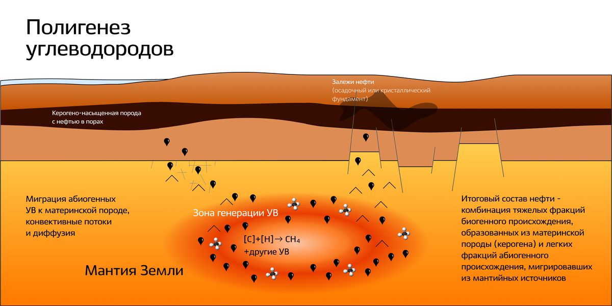 Происхождение нефти фото. Биогенная теория происхождения нефти. Генезис нефти. Животное происхождение нефти.