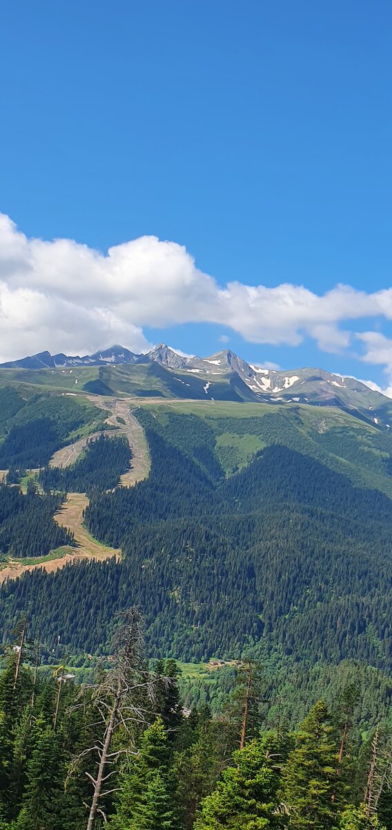 Виды сверху 