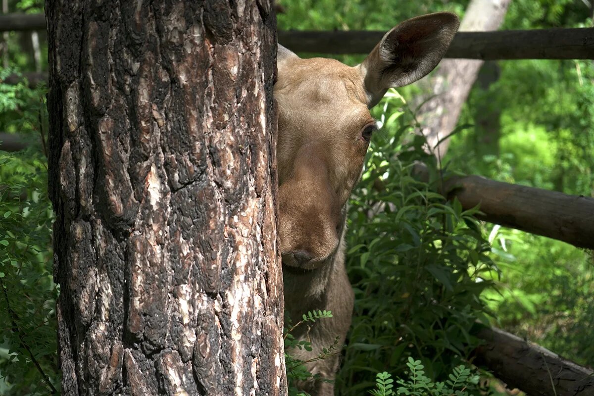 Фото: «Искры» 