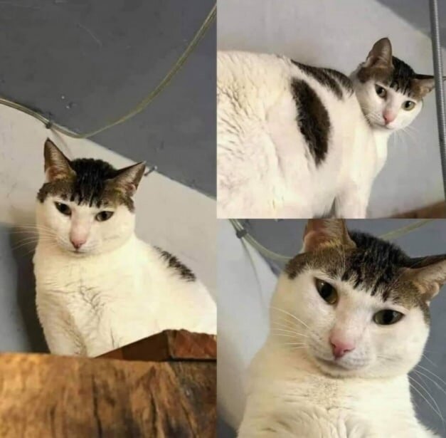 -2