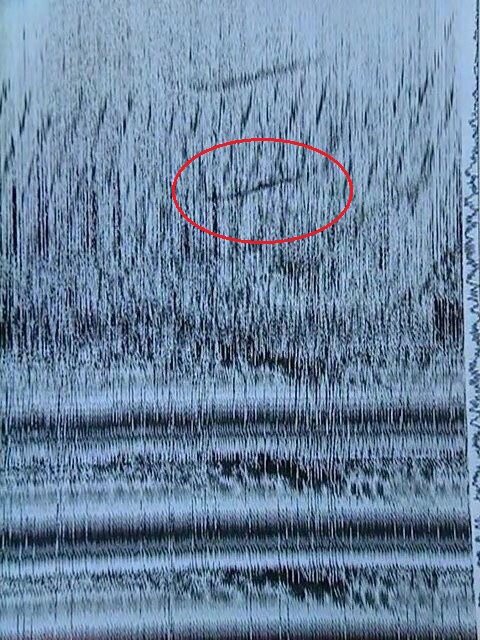 Фото профилографа Фото 1