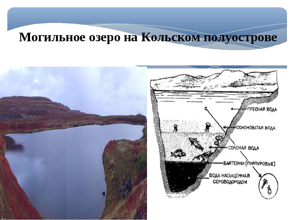 Озеро могильное презентация