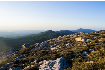 Фото: Таня Съедина