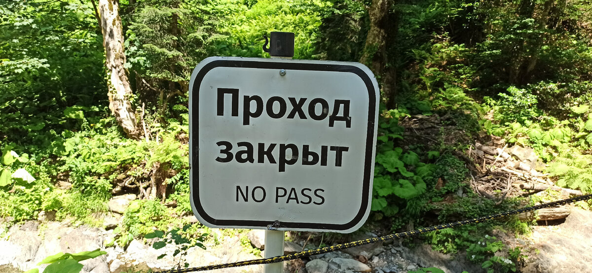 Добавьте описание