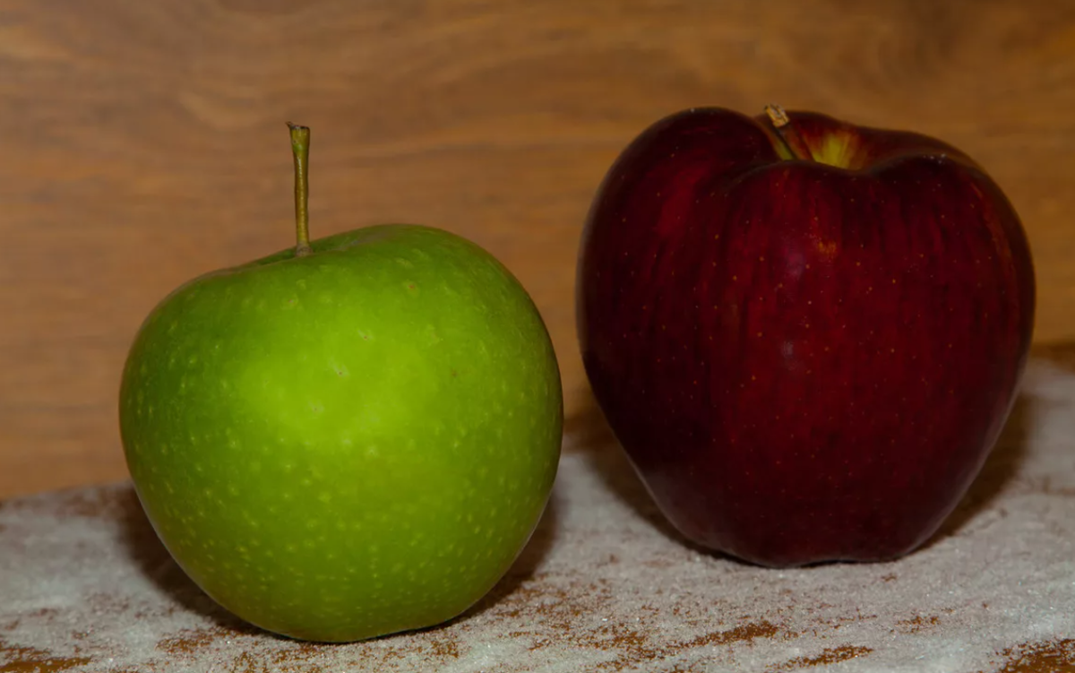 2 яблока. Два яблока. Два разных яблока. Яблоко фото для детей. Пара яблок.