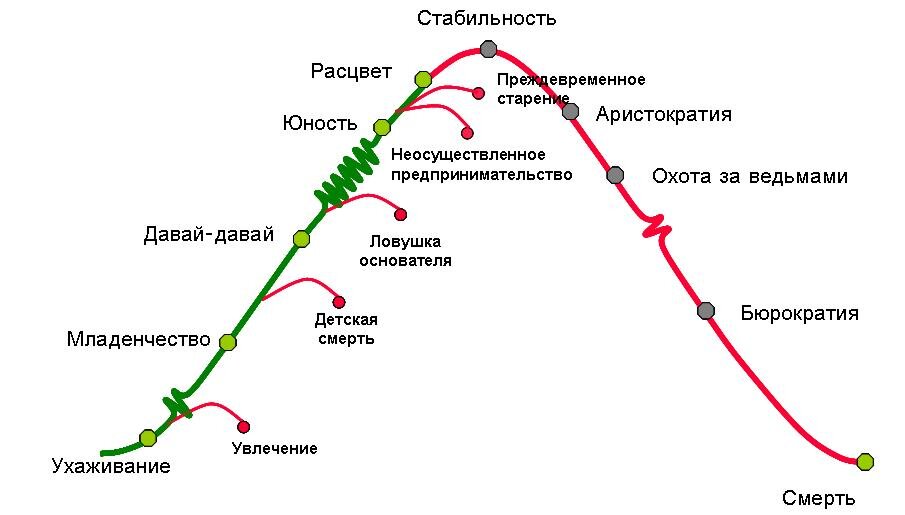 Жизненный цикл адизеса схема