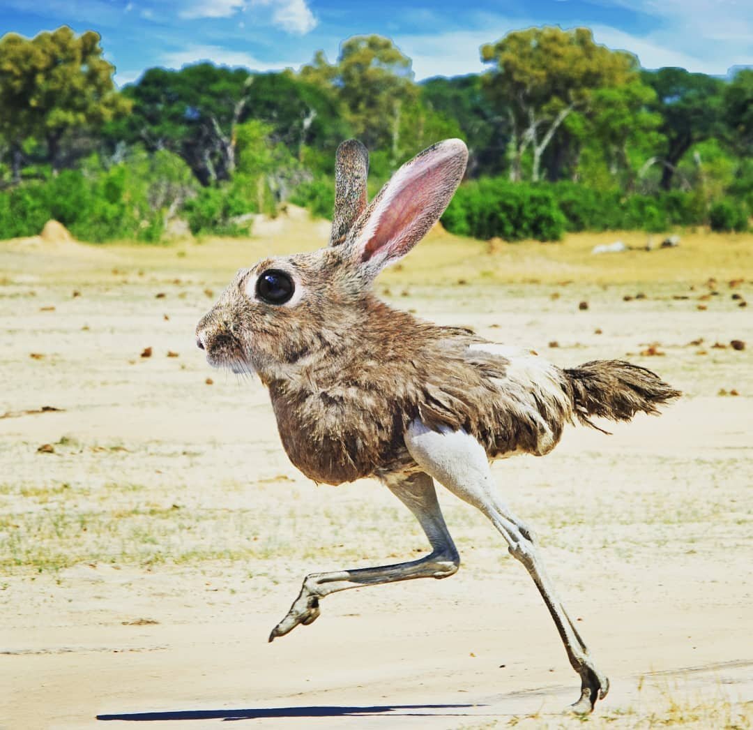 Взято с Яндкс.Картинки Но примерно так мы и выглядим, когда решаем множество вопросов😅