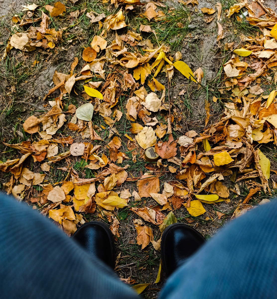 Найти мусор на фото +100500 к офтальмологической карме