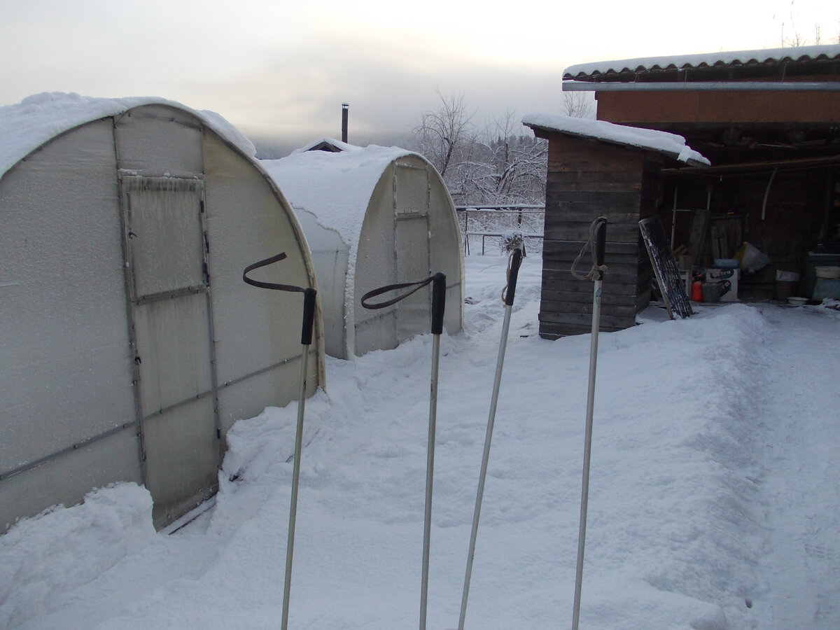 Фото автора.