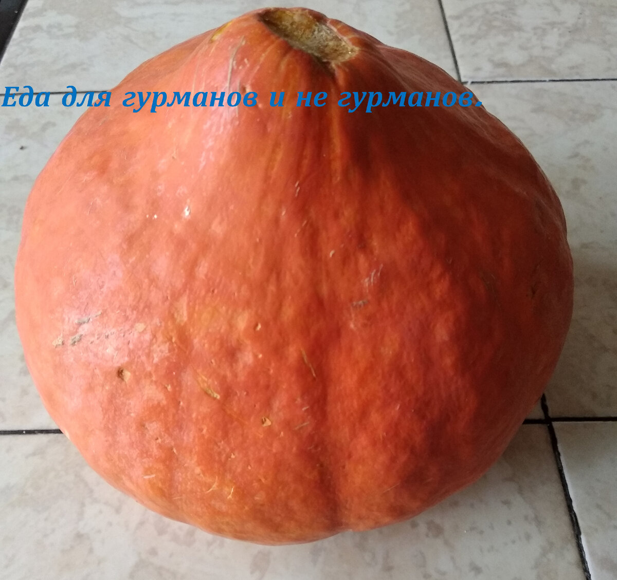 Тыква