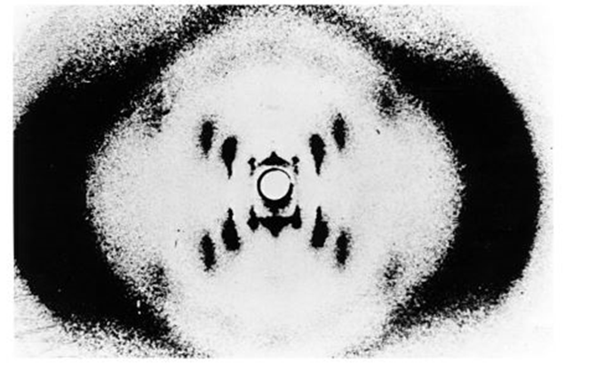 Изображения взяты из Lehninger Principles of Biochemistry 7th Edition 