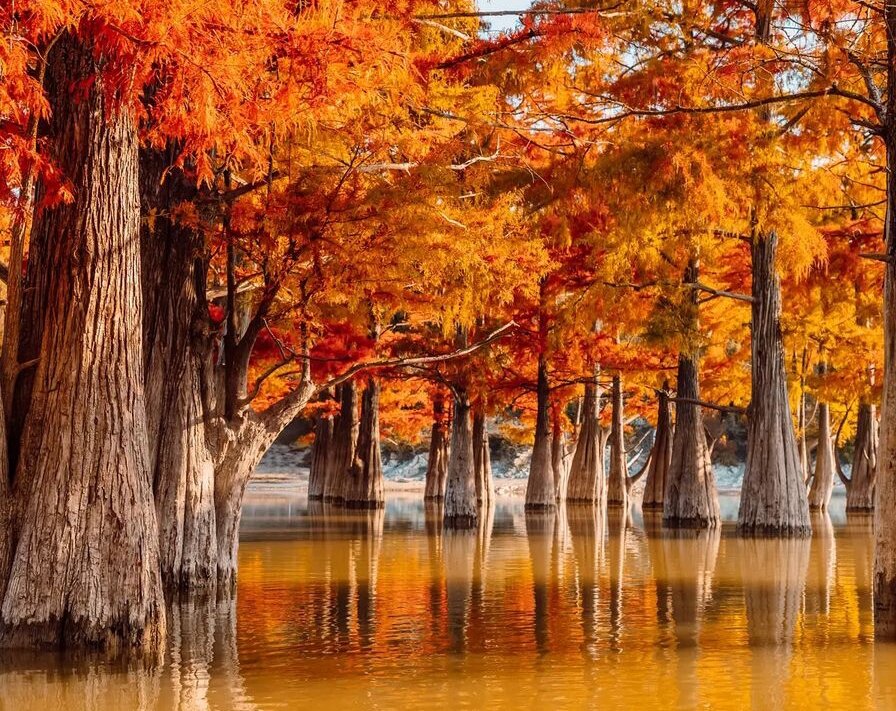 Скриншот с сайта инстаграм, автор sup_san