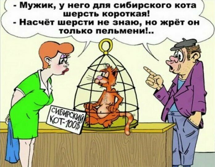 Шутки 18 с картинками