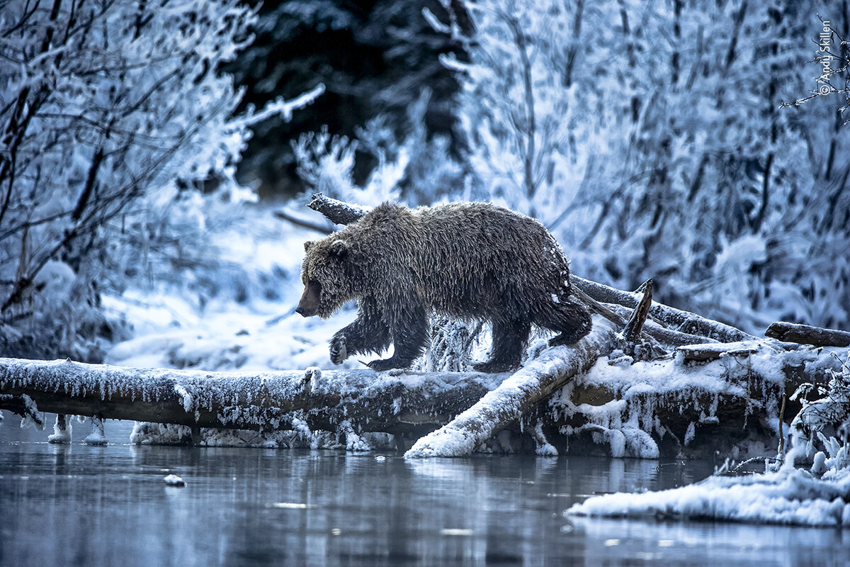 Andy Skillen, UK