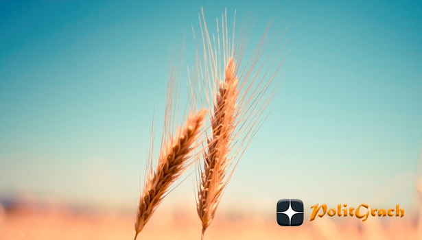 Изображение free stock photos from www.picjumbo.com с сайта Pixabay. Изображение free stock photos from www.picjumbo.com с сайта Pixabay 