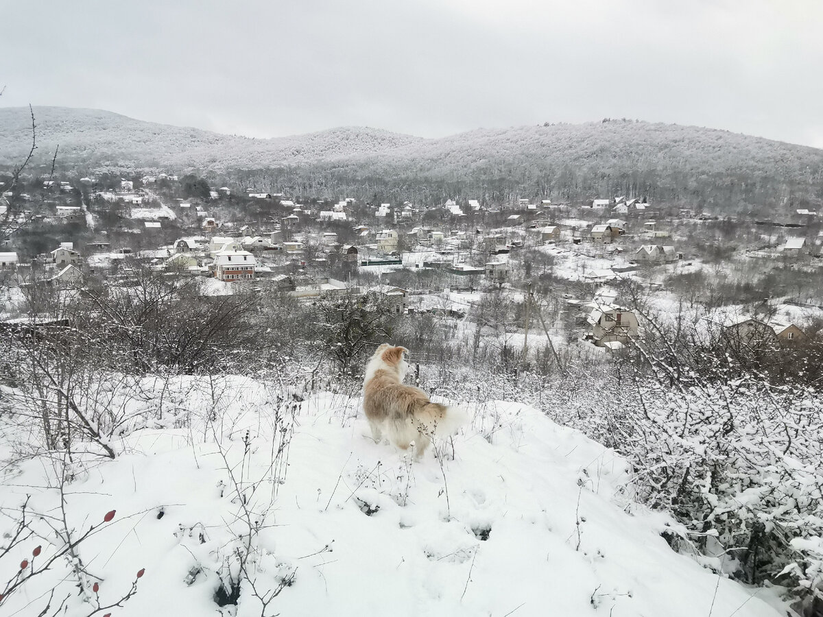Снег везде. 