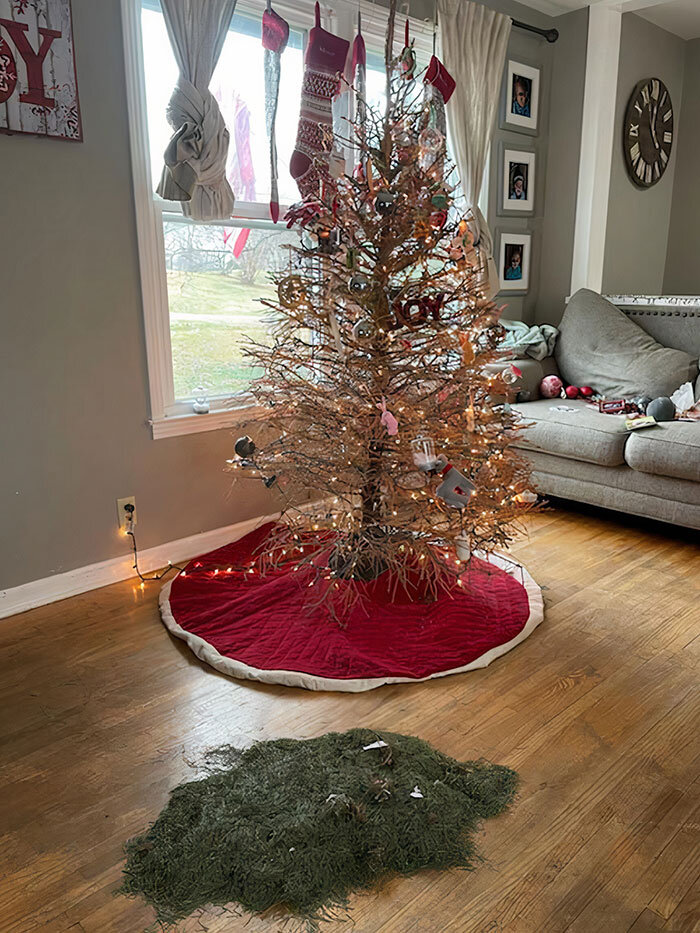 Источник: https://www.reddit.com/r/mildlyinfuriating/comments/rlky10/when_your_christmas_tree_just_cant_make_it_until