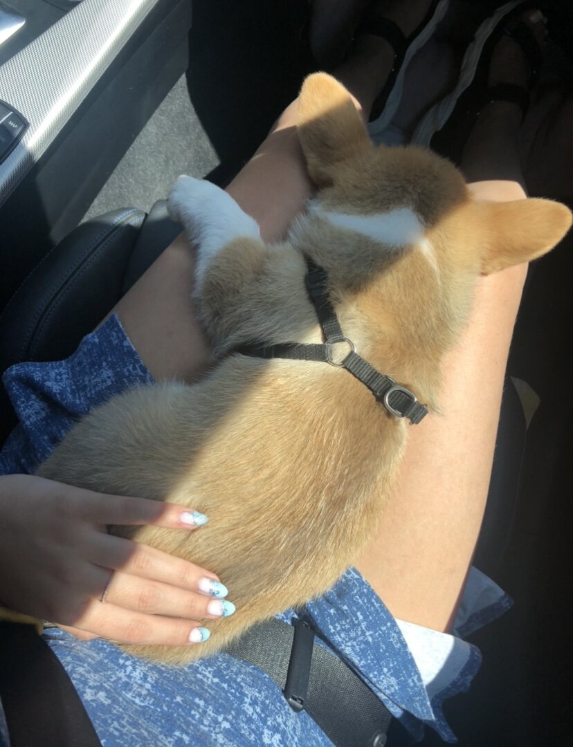 На руках Асти тоже почти все время спала.