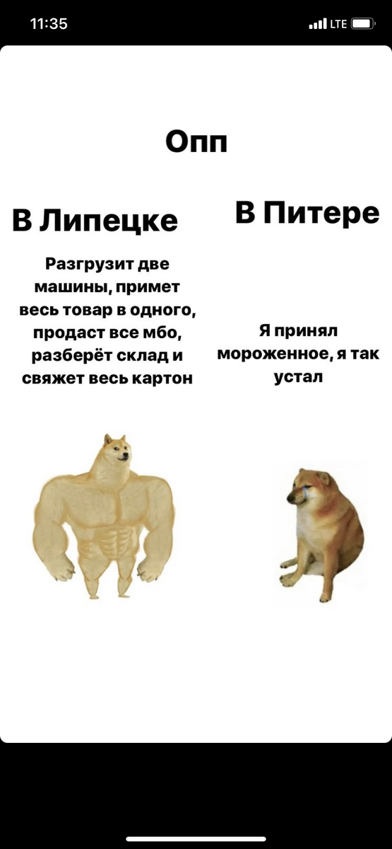 Немного юмора 