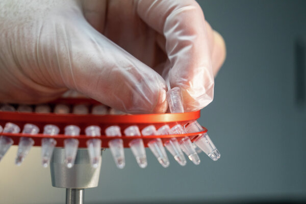 Фото: информационный портал "Ветеринария и жизнь"