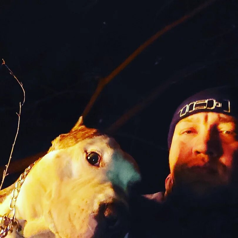 Вновь Шило и Goris Dakillah