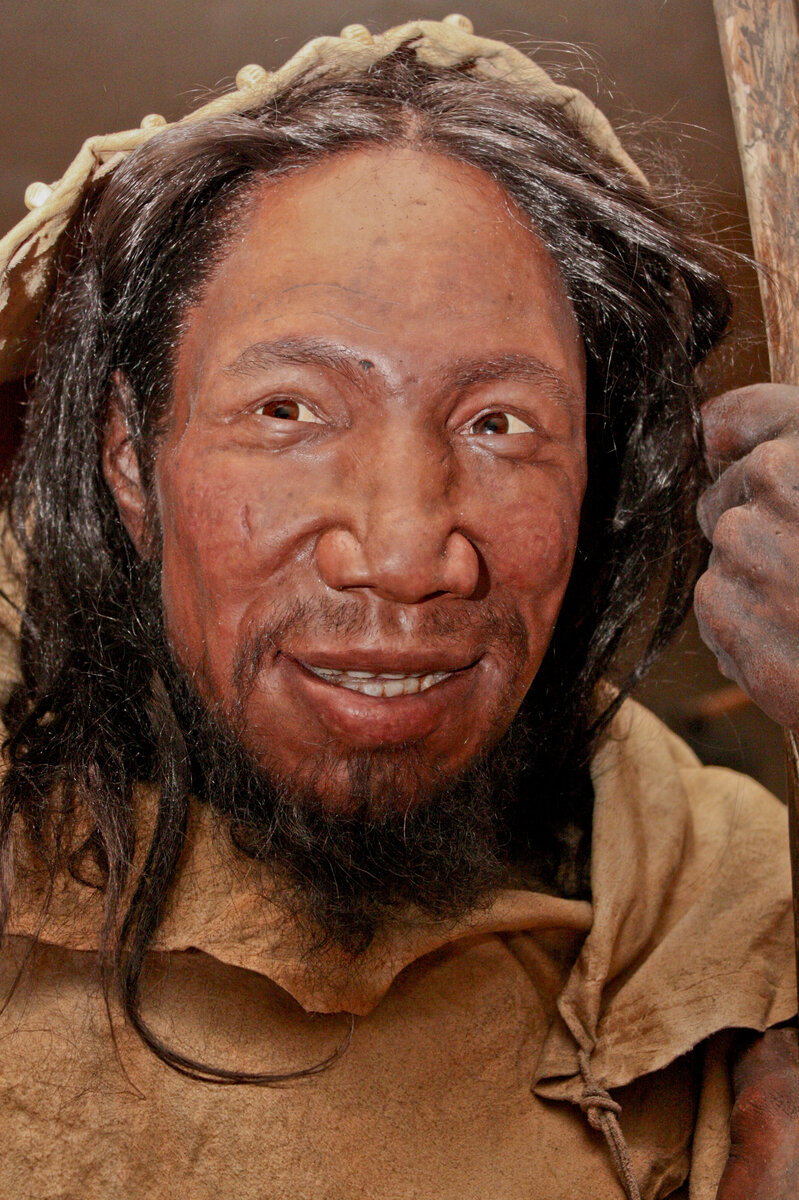 Реконструкция одного из образцов пещеры Oase.   Автор: Daniela Hitzemann (photograph) - Pressebilder Neanderthal Museum, Mettmann