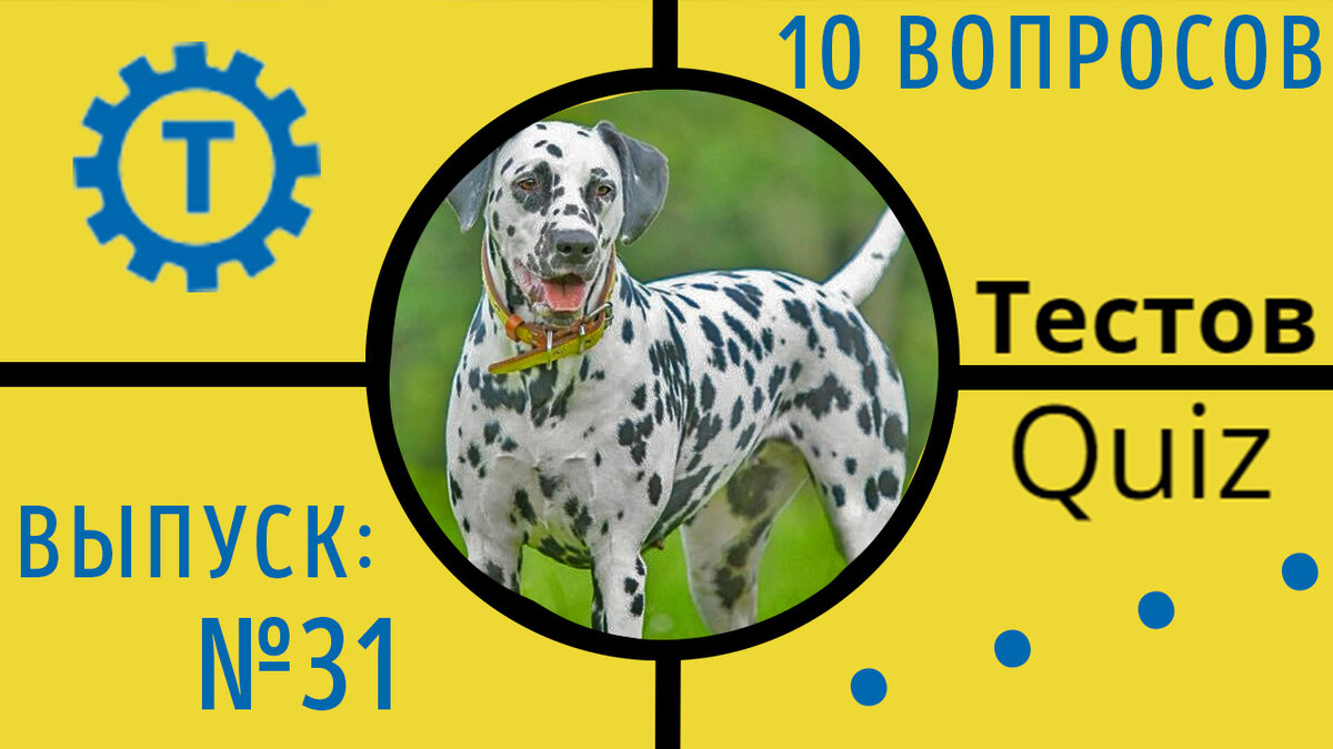 Коллаж автора Тестов Quiz // Выпуск №31