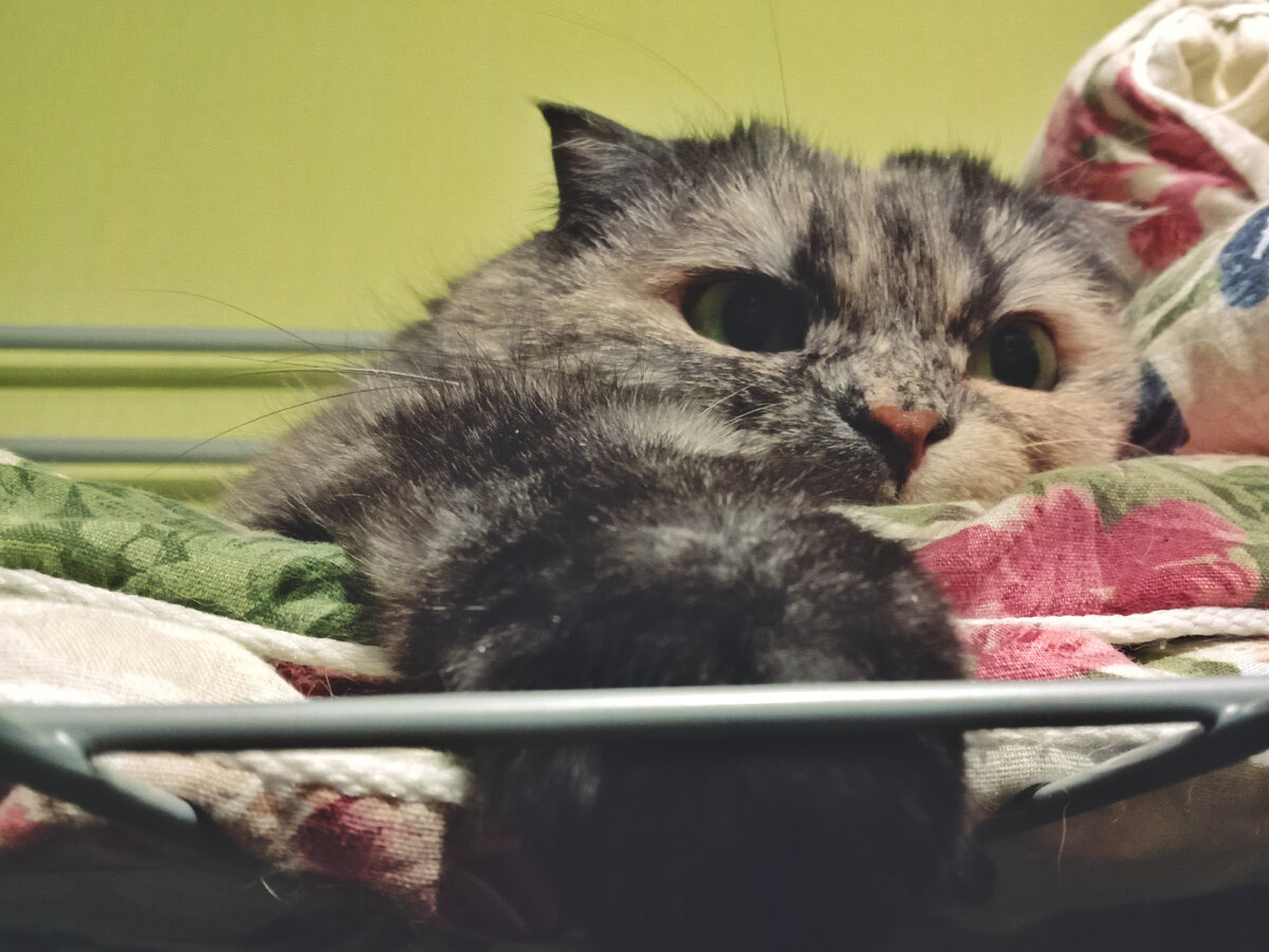 Это мое место, в аренду не сдается