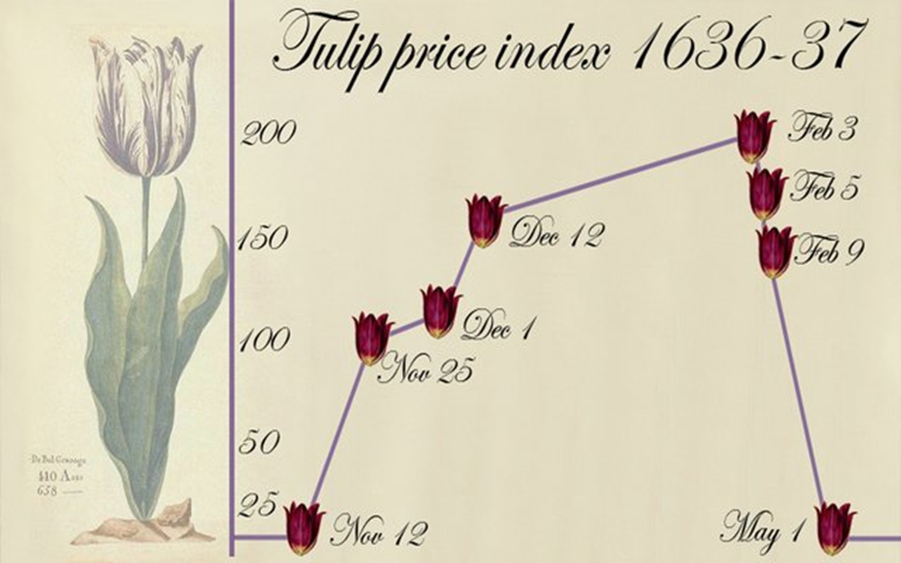 Картина тюльпаномания с графиком