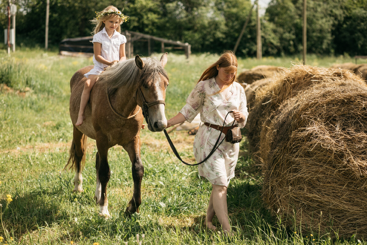 Летний денёк