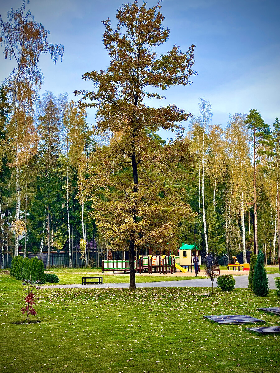 Территория в Трех Сестрах 