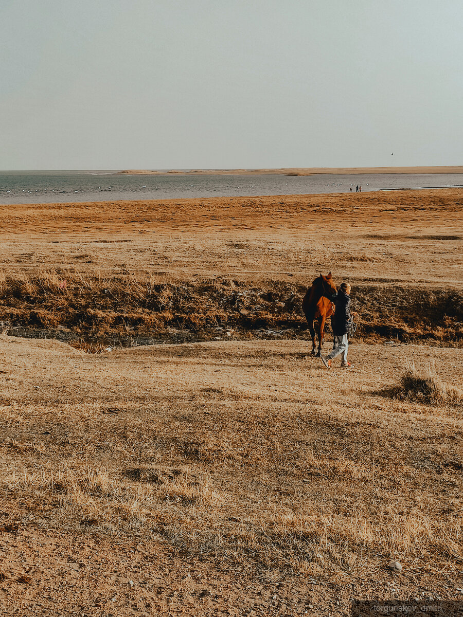 Прогулки с домашним животным в Киргизии