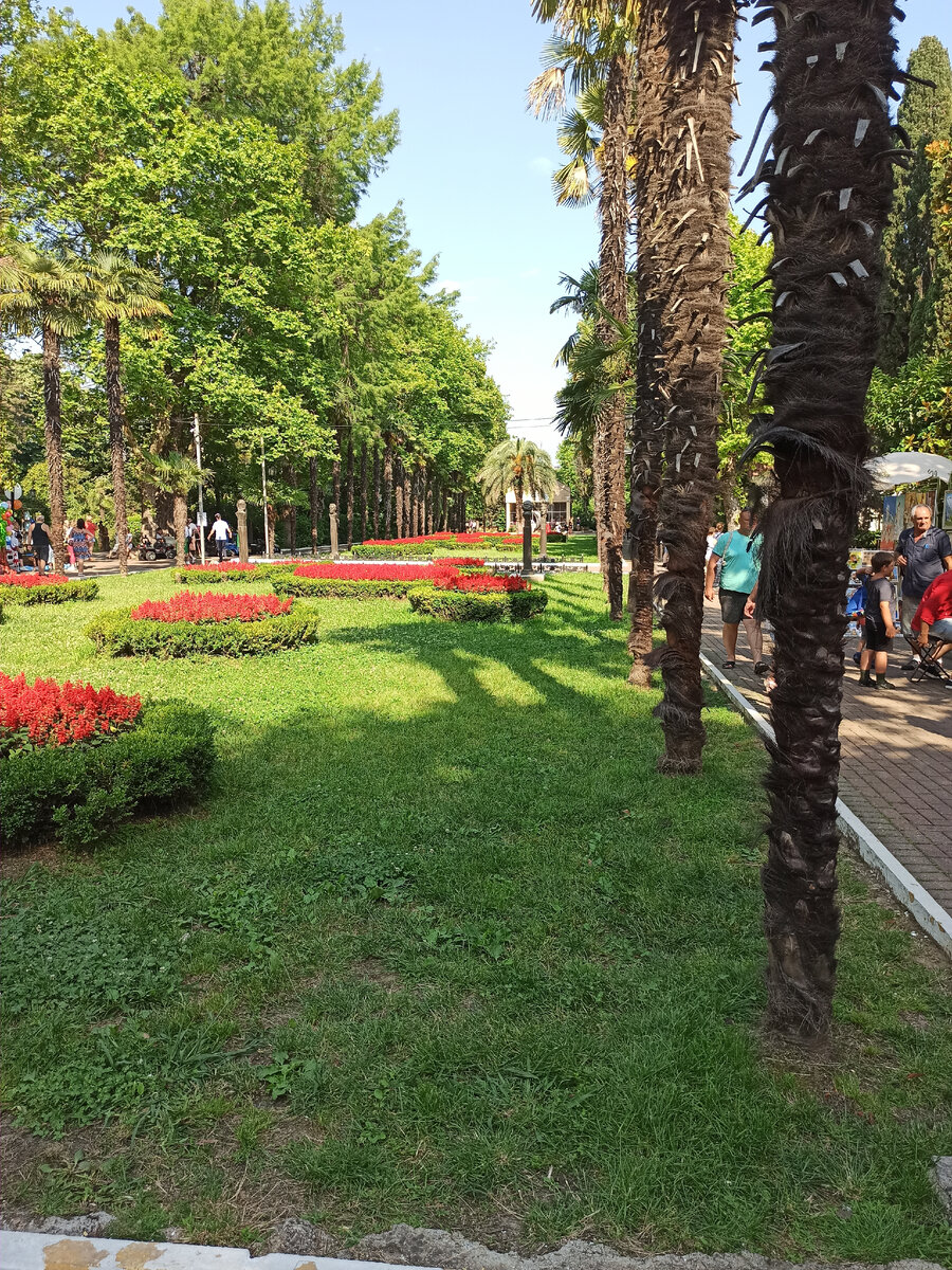 Аллеи парка