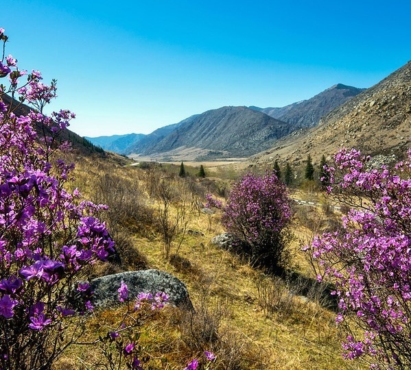 Спустя 6 лет...