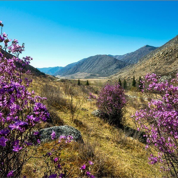 Изображение взято из свободного поиска в яндексе