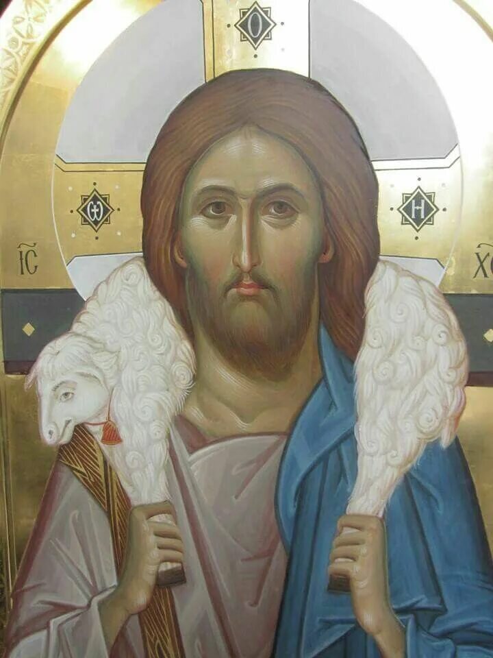 Икона Иисус Христос добрый Пастырь. Икона Спасителя Пастырь добрый. Христос добрый Пастырь иконография. Иисус добрый Пастырь иконография.